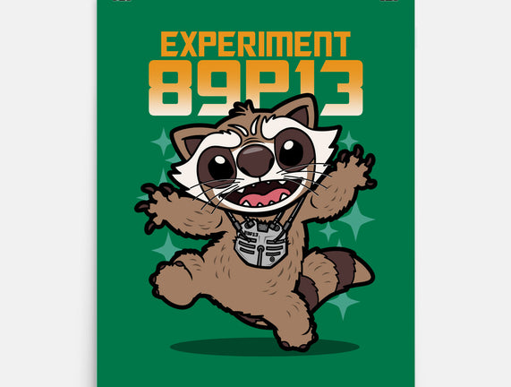 Experiment 89P13