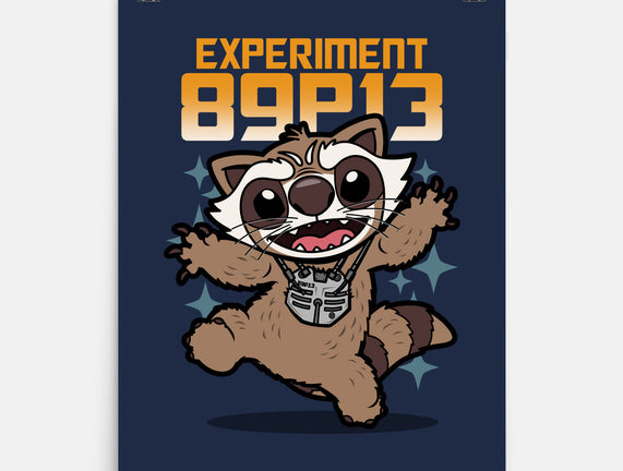 Experiment 89P13