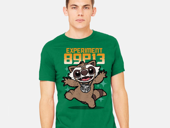 Experiment 89P13