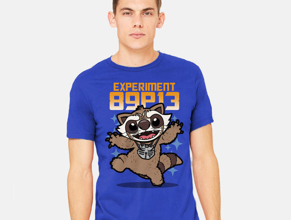Experiment 89P13