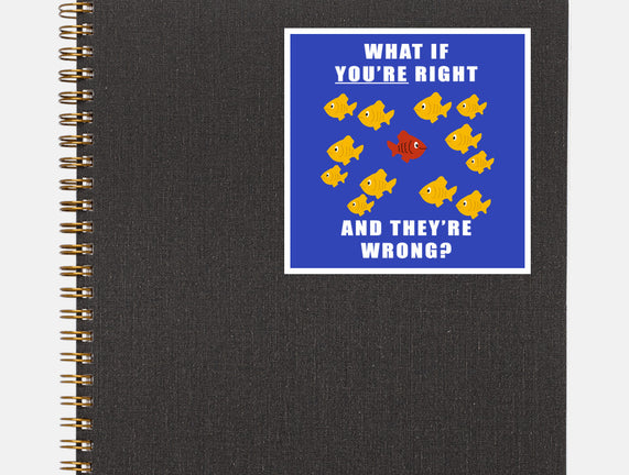 What if You're Right and They're Wrong