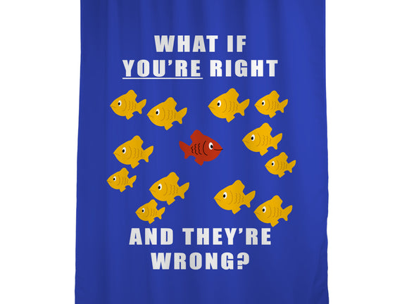 What if You're Right and They're Wrong