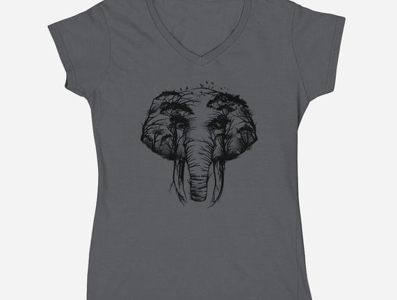 Wild Safari