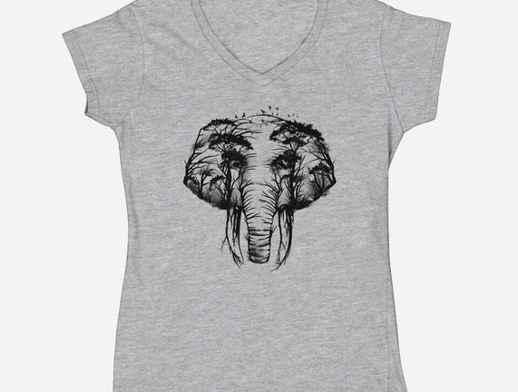 Wild Safari