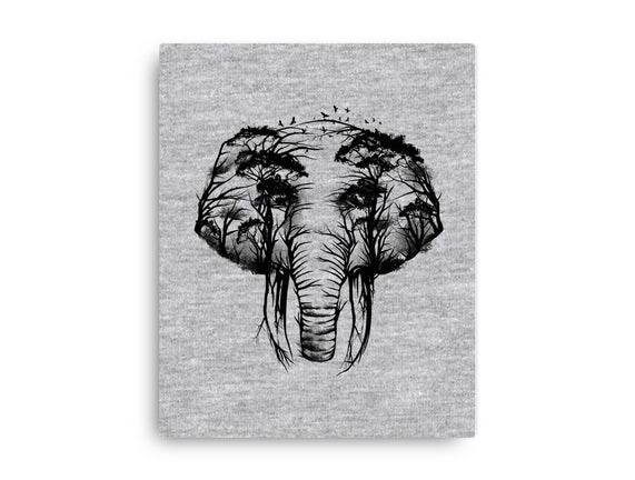 Wild Safari