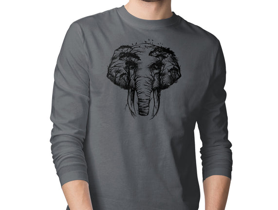Wild Safari