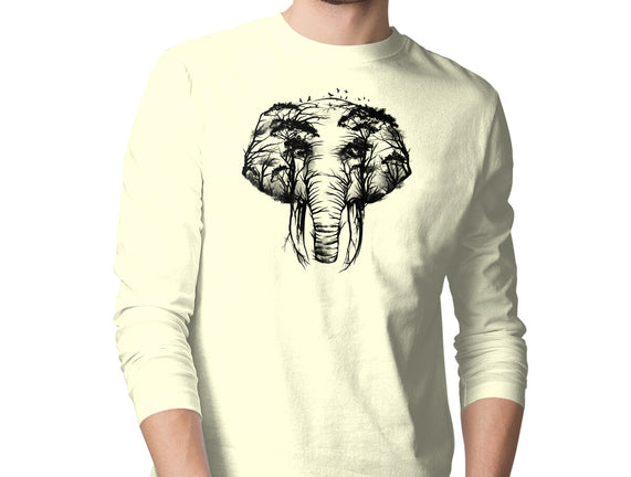 Wild Safari