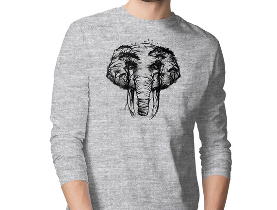 Wild Safari