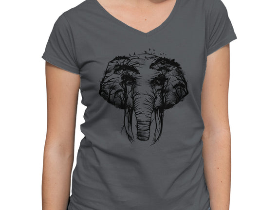 Wild Safari