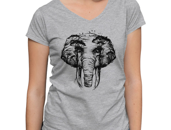 Wild Safari