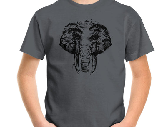 Wild Safari