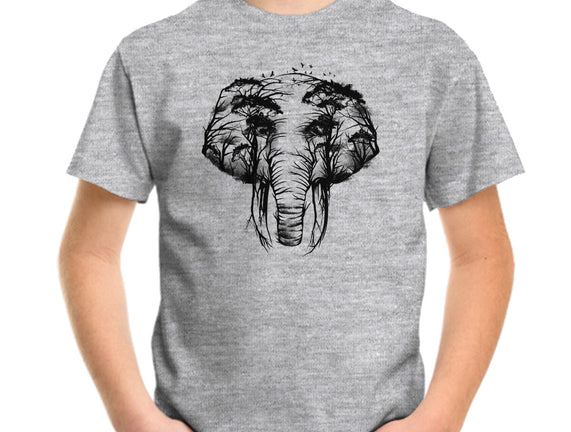 Wild Safari
