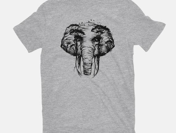 Wild Safari