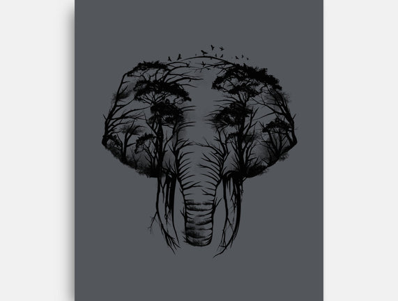 Wild Safari