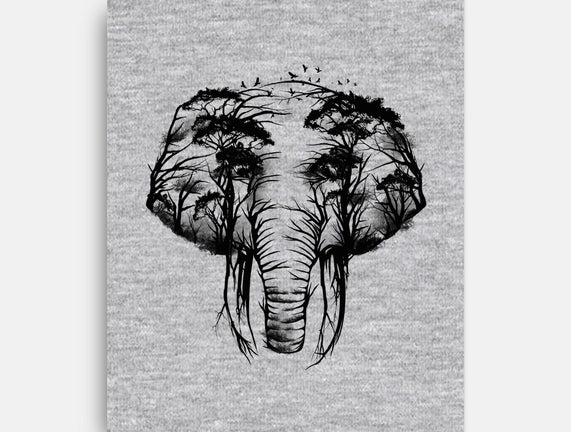 Wild Safari