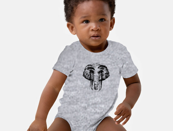 Wild Safari