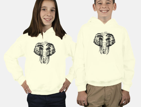 Wild Safari