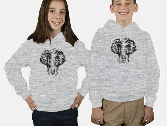 Wild Safari