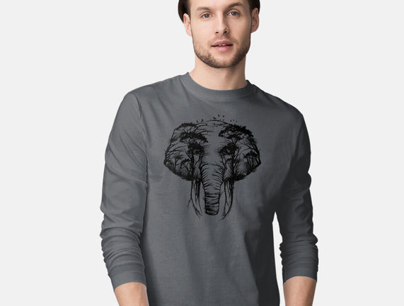 Wild Safari