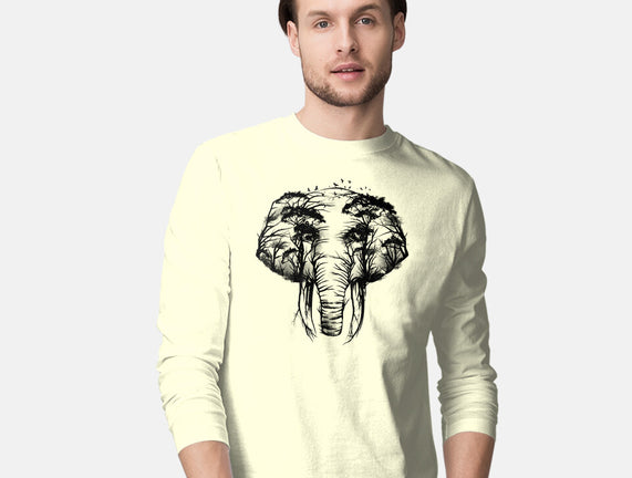 Wild Safari