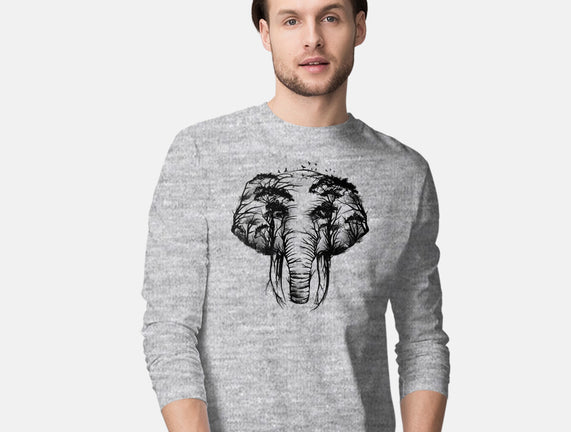 Wild Safari