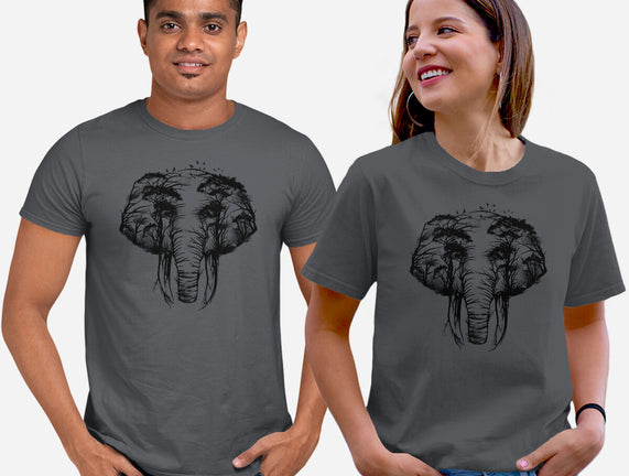 Wild Safari