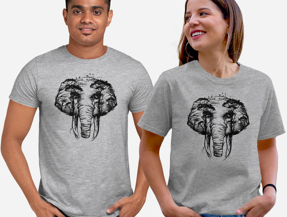 Wild Safari