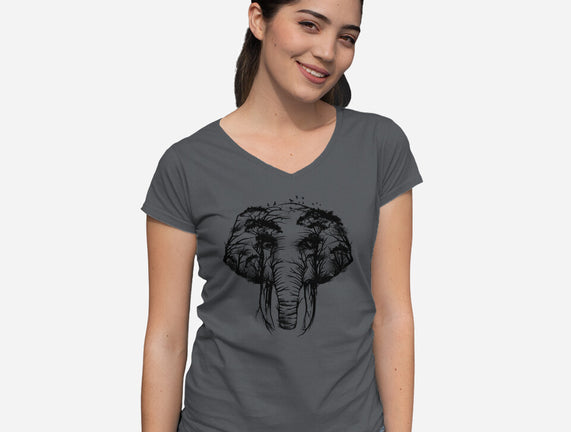 Wild Safari