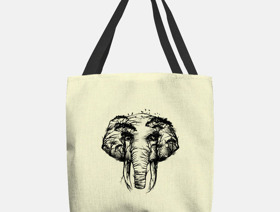 Wild Safari