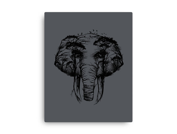 Wild Safari