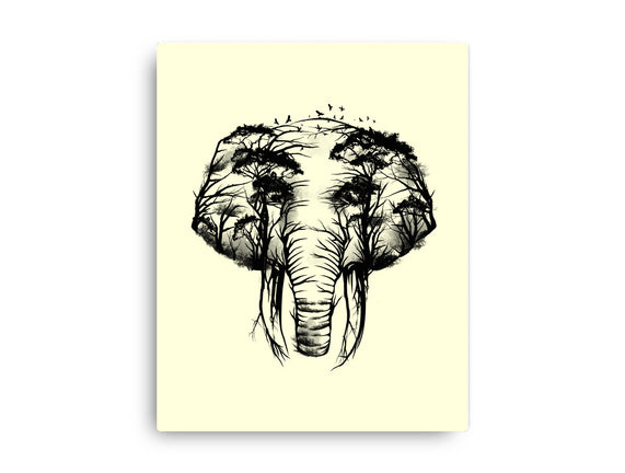 Wild Safari