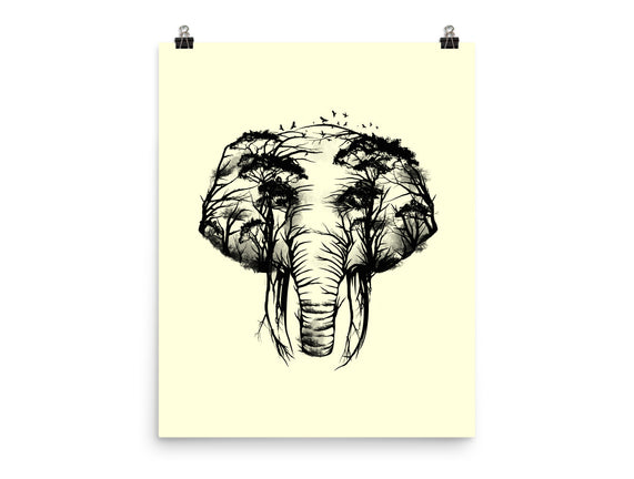 Wild Safari