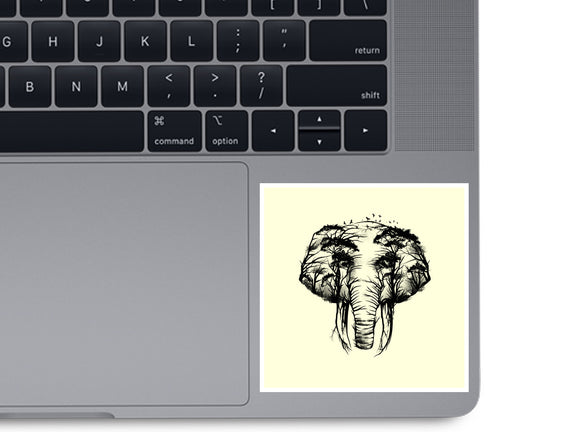 Wild Safari