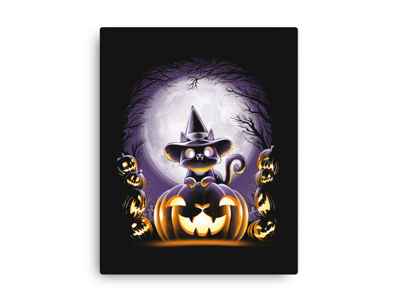 Witch-Cat Night