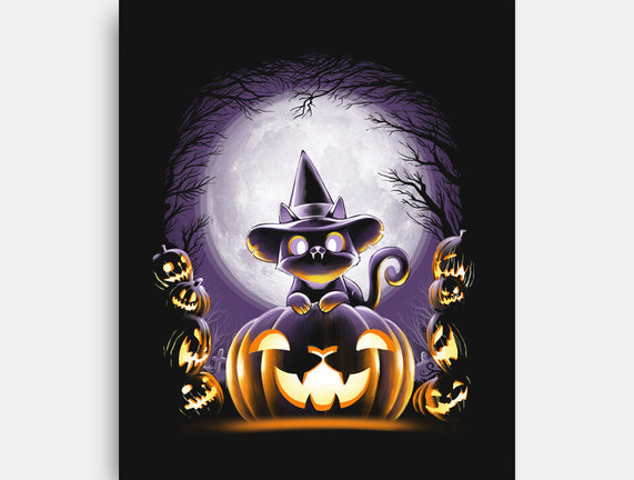 Witch-Cat Night