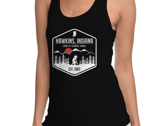 Visit Hawkins