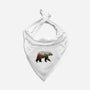 Ursa Nature-cat bandana pet collar-SokolSelmani