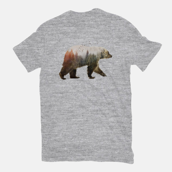 Ursa Nature-mens basic tee-SokolSelmani