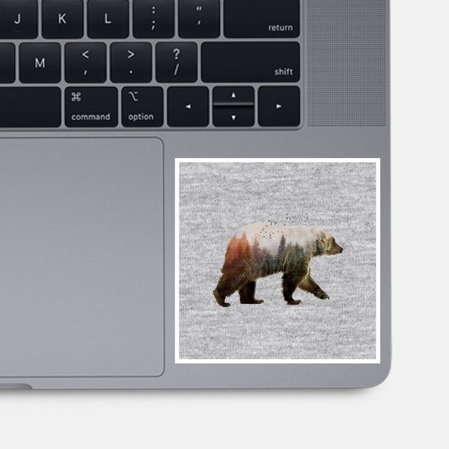 Ursa Nature-none glossy sticker-SokolSelmani