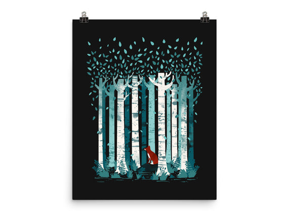The Birches
