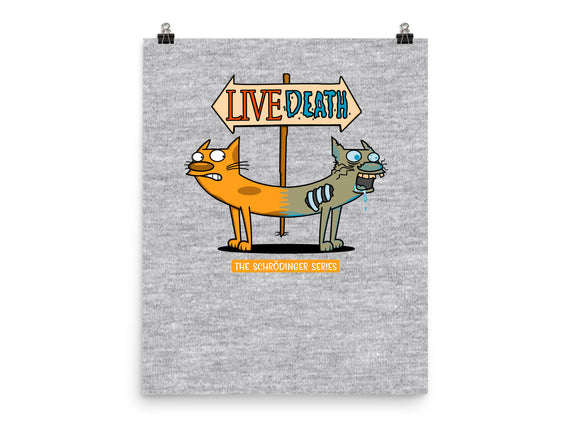 The Schrodinger Series!