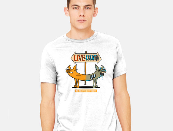The Schrodinger Series!
