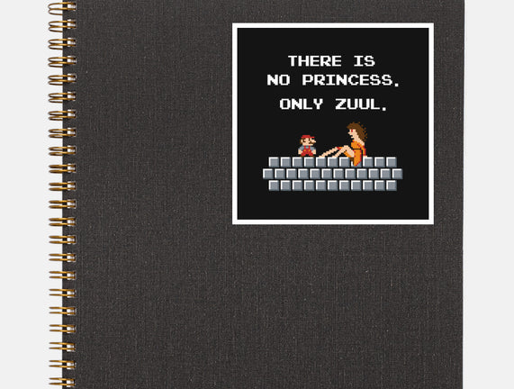 There Is No Princess