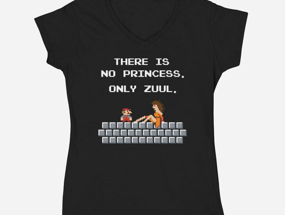 There Is No Princess