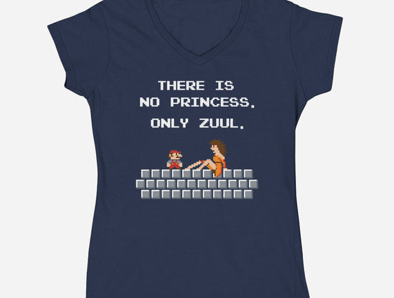 There Is No Princess