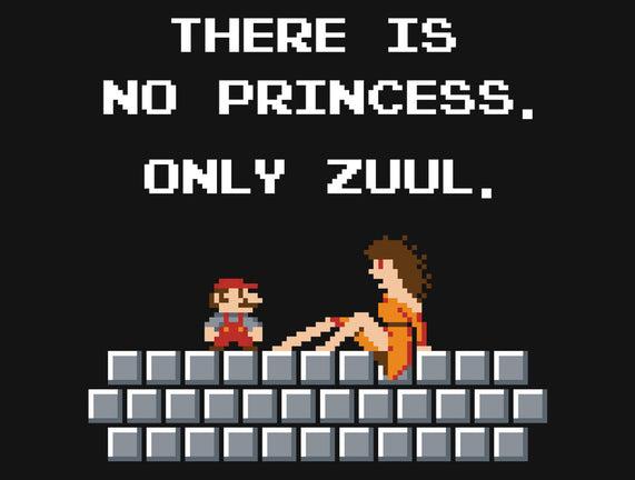 There Is No Princess