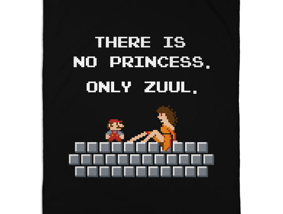 There Is No Princess