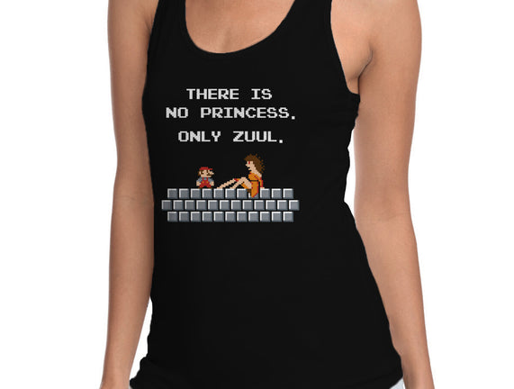 There Is No Princess