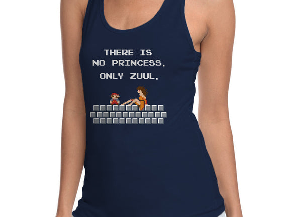 There Is No Princess