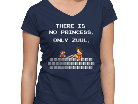 There Is No Princess